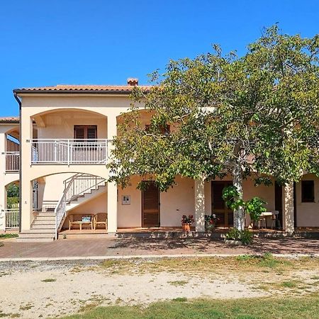 Viola Three Lejlighed Novigrad Istria Eksteriør billede